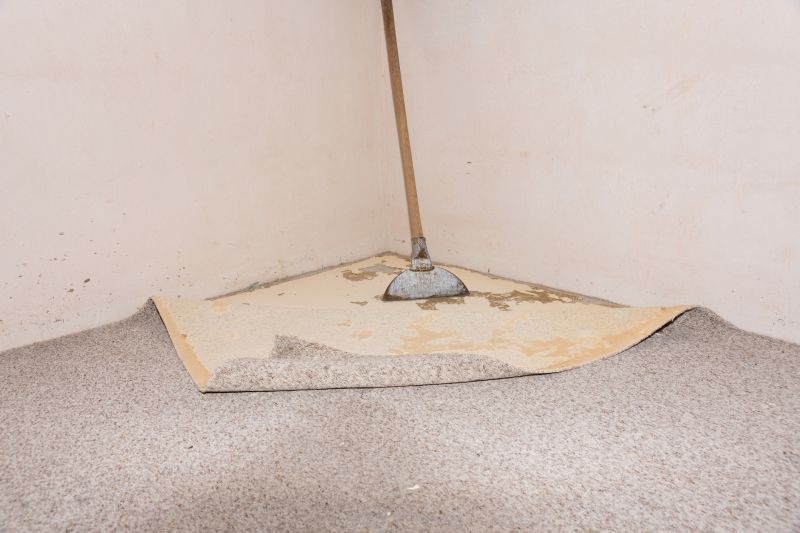 Basement Carpet Repair in Littleton, CO