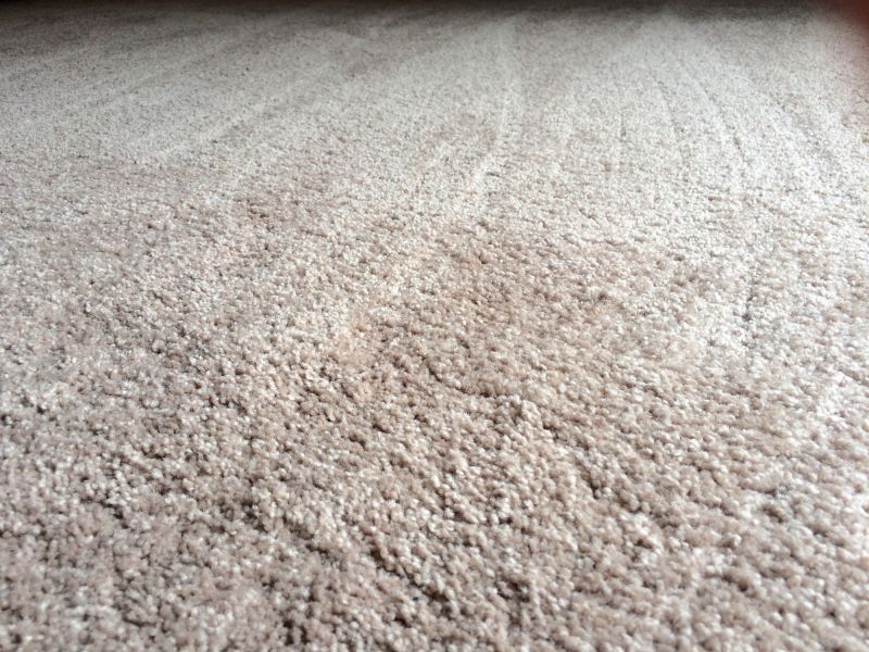 Carpet Material Quality